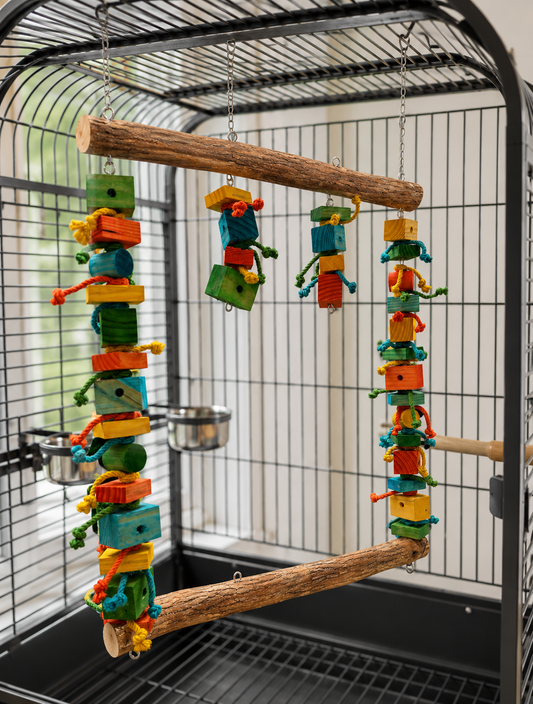 Double Perch Swing